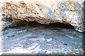 P5104809.JPG