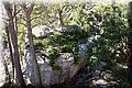 P5104829.JPG