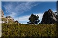 P5144941.JPG