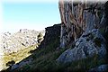 P5144973.JPG
