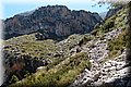 P5144984.JPG