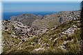 P5144985.JPG