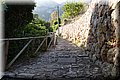 P5175028.JPG