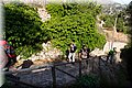 P5175034.JPG