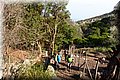 P5175044.JPG