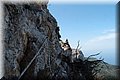 P5175230.JPG