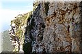 P5175347.JPG