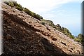 P5175409.JPG