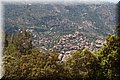 P5175482.JPG