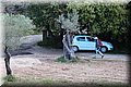 P5215591.JPG