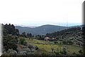 P5215593.JPG