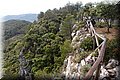 P5215599.JPG