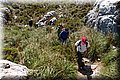 P5245711.JPG