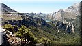 P5245747.JPG
