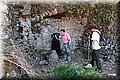 P5245790.JPG