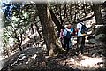 P5245848.JPG