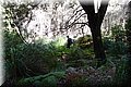 P5285937.JPG