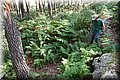 P5285940.JPG