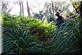 P5285948.JPG