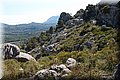 P5285968.JPG
