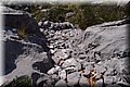 P5285970.JPG