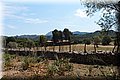 P5285977.JPG