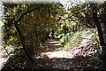 P5285985.JPG