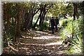 P5285986.JPG