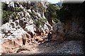 P5286041.JPG