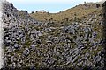P5286061.JPG