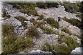 P5286062.JPG