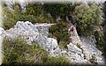 P5286064.JPG