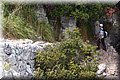 P5286066.JPG
