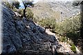 P5286129.JPG
