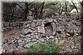 P6046232.JPG