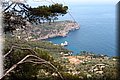 P6046240.JPG