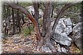 P6046242.JPG