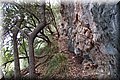 P6046250.JPG