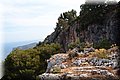 P6046253.JPG