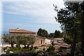 P6046256.JPG