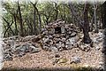 P6046263.JPG