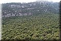 P6046265.JPG