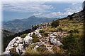 P6046285.JPG