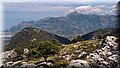 P6046310.JPG