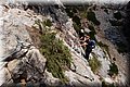 P6046398.JPG