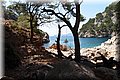 P6076448.JPG