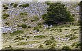 P6076473.JPG