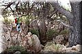 P6076494.JPG