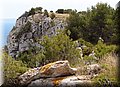 P6076503.JPG