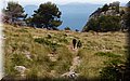 P6076505.JPG